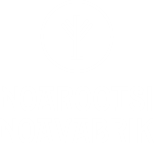 noavabrik_logo